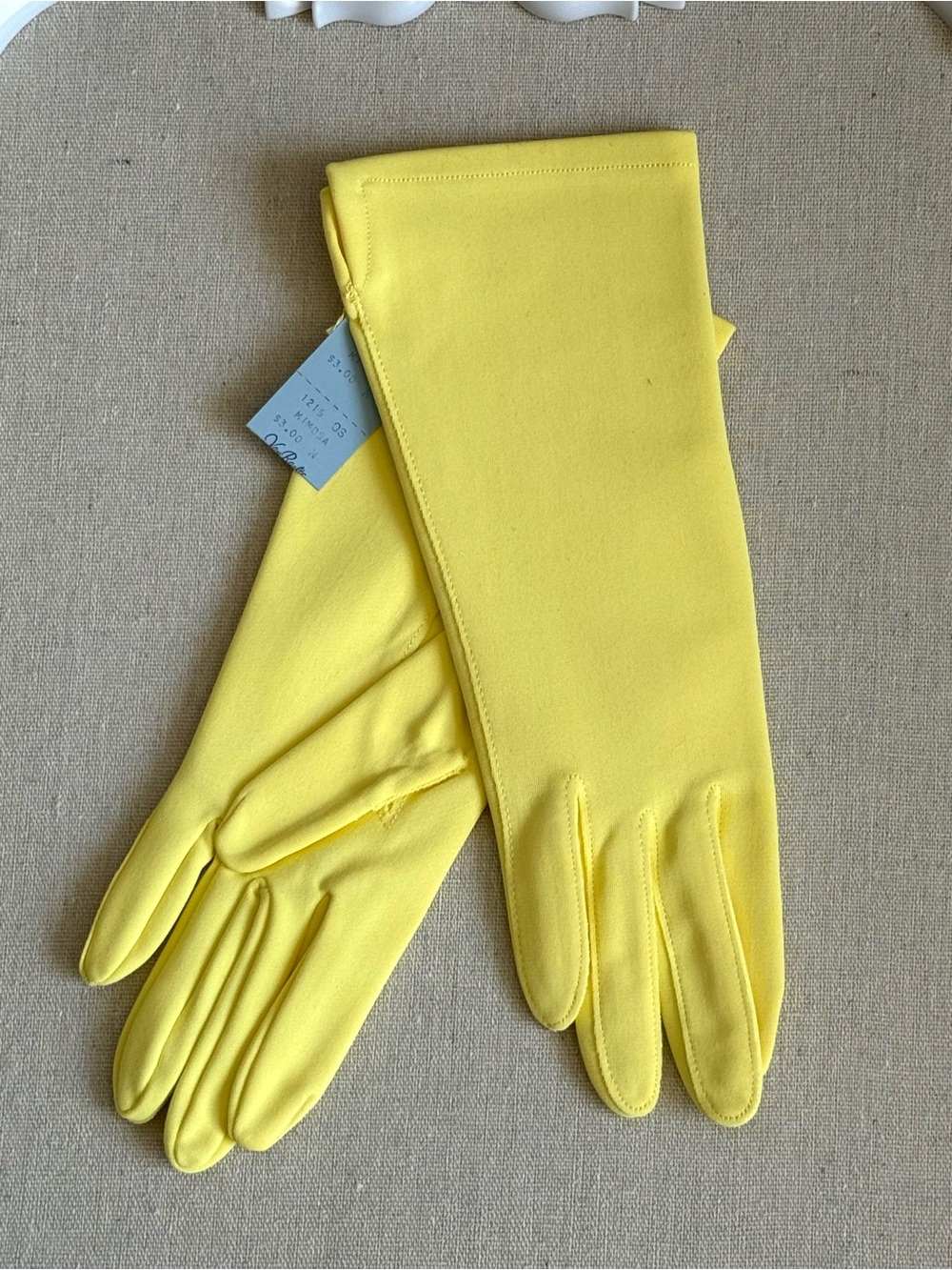 Vtg Van Raalte YELLOW MIMOSA Nylon Dress Gloves NOS Fits All